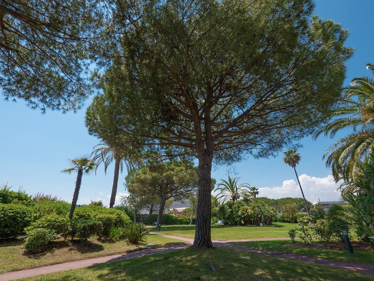 Hôtel Bahia Villeneuve-Loubet Exterior foto