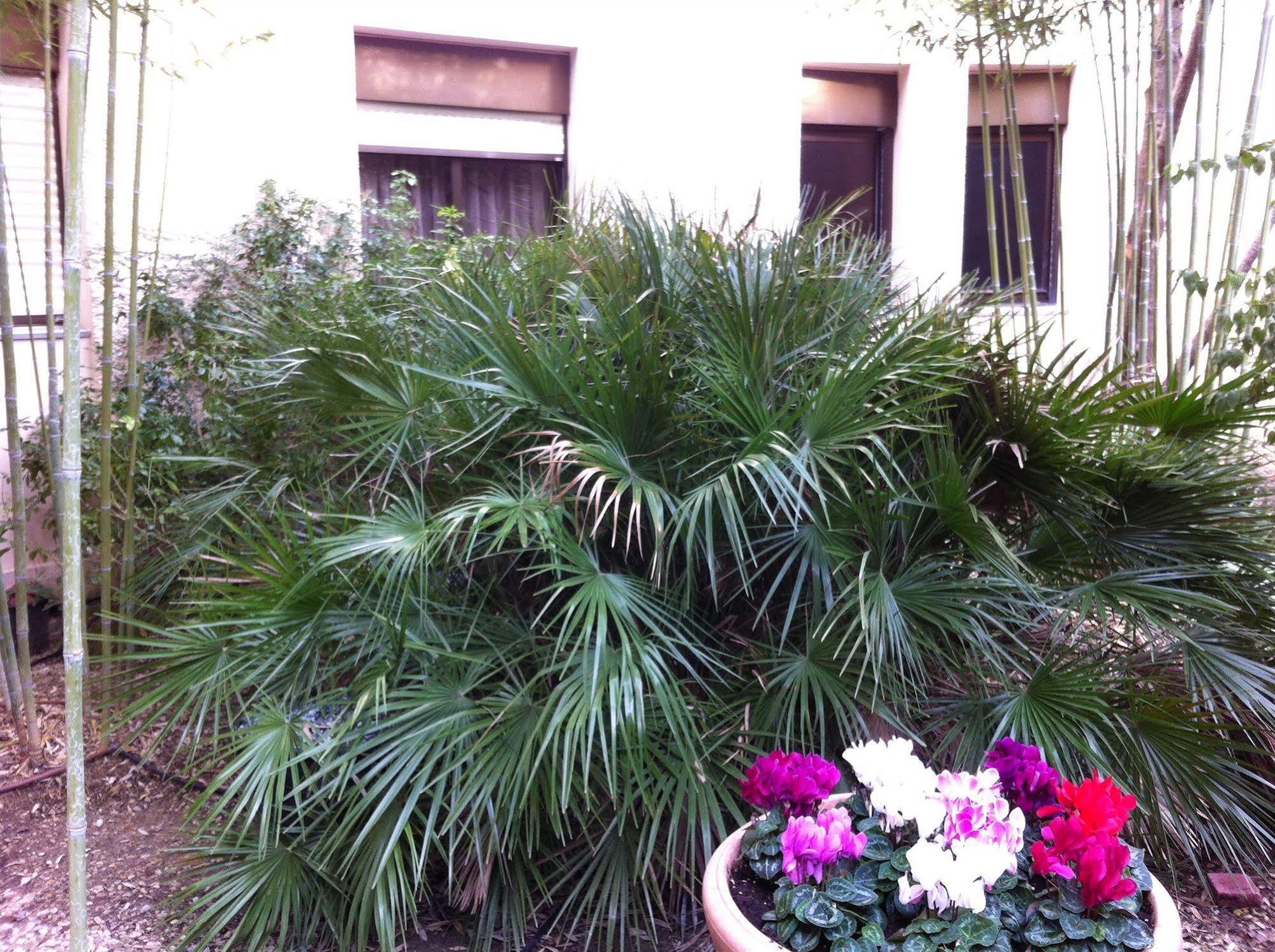 Hôtel Bahia Villeneuve-Loubet Exterior foto